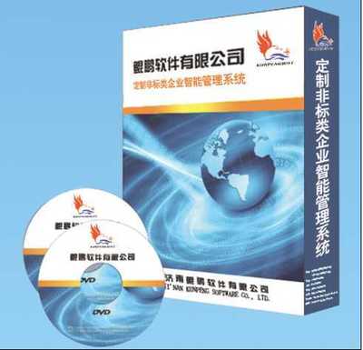 山東地區(qū)軟件開發(fā)服務(wù)全解析 從電腦軟件到公眾號開發(fā)